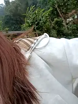 Snapshot of Chinchink2 chatting on 12.15.25 Chinchink2 online show from 12.15.25