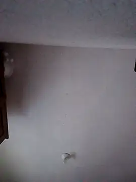 moni 1  online show from 01.09.26