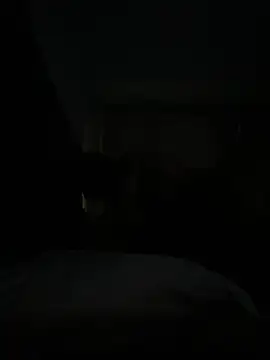 BellaSean online show from 02.14.26