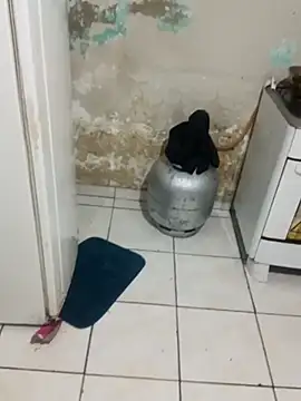  - charmosa online show from 12.15.25