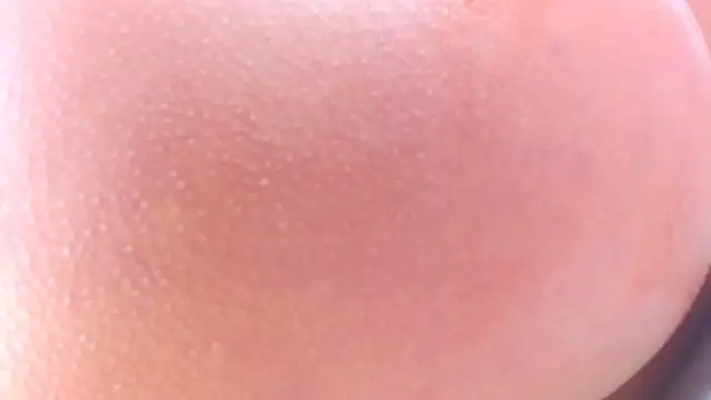 lorenaanalx online show from 02.01.26