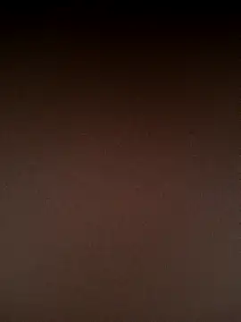 Snapshot of Rousse_uwu chatting on 02.11.26 Rousse uwu online show from 02.11.26