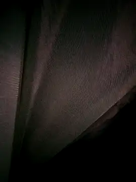 Snapshot of Rousse_uwu chatting on 02.19.26 Rousse uwu online show from 02.19.26