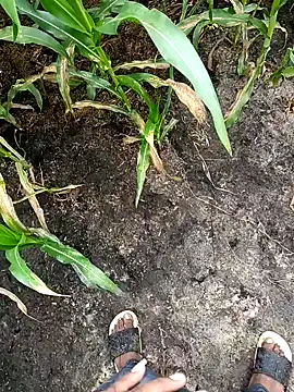 loki-king-143 online show from 02.24.26