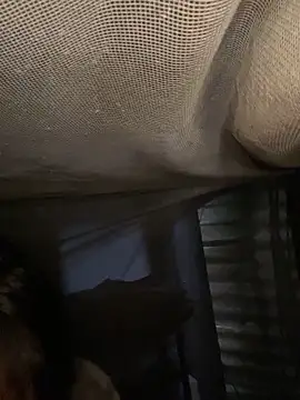 Nika-be online show from 02.11.26