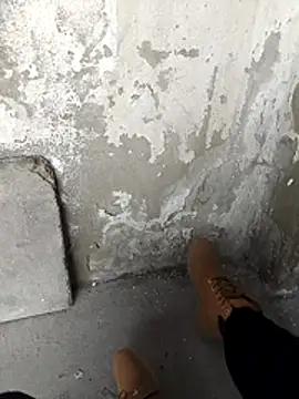 Mar81 online show from 02.12.26