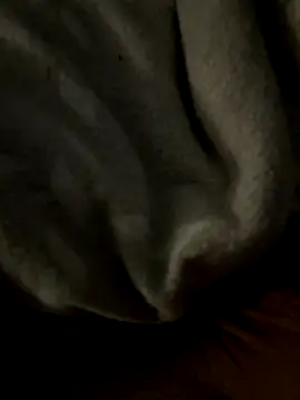 Snapshot of kb20sss chatting on 12.14.25 kb20sss online show from 12.14.25