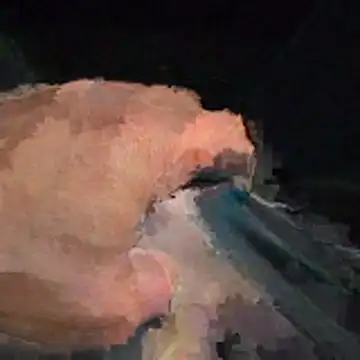 abmelken online show from 04.15.26