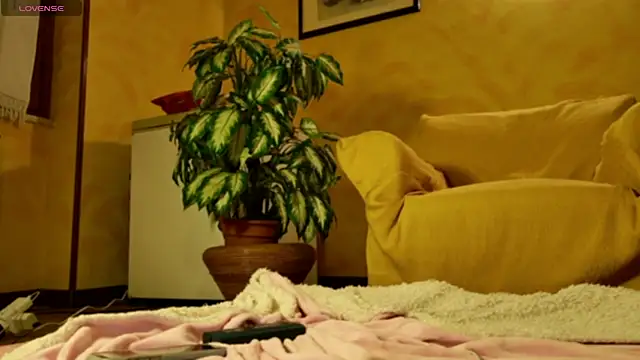 mark ariete online show from 02.24.26