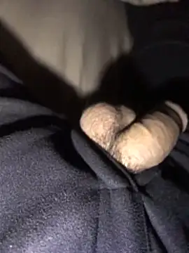 Snapshot of lion_kun chatting on 12.15.25 lion kun online show from 12.15.25