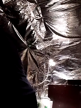 Quebec46 online show from 02.20.26