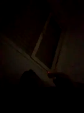 Camilooo123455 online show from 12.23.25