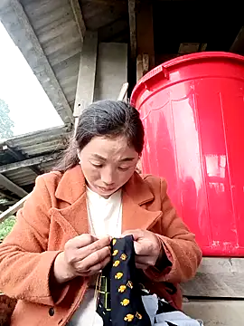 seacyre online show from 12.23.25