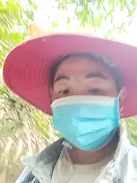 seacyre online show from 04.11.26