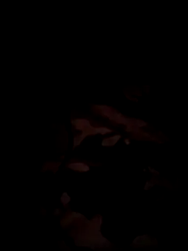 bnglrboy0886 online show from 12.17.25