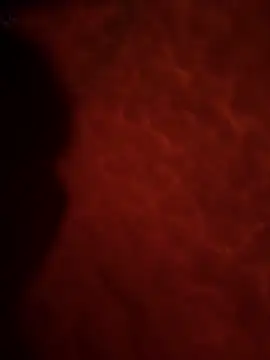 Sweetley online show from 02.02.26