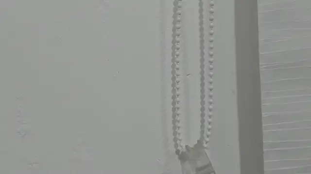 ariloe quintero online show from 04.20.26