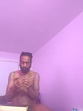 AverageAnt  online show from 03.03.26