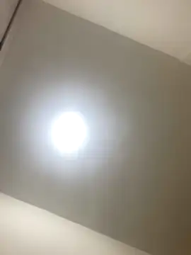 roger rabiit online show from 12.19.25