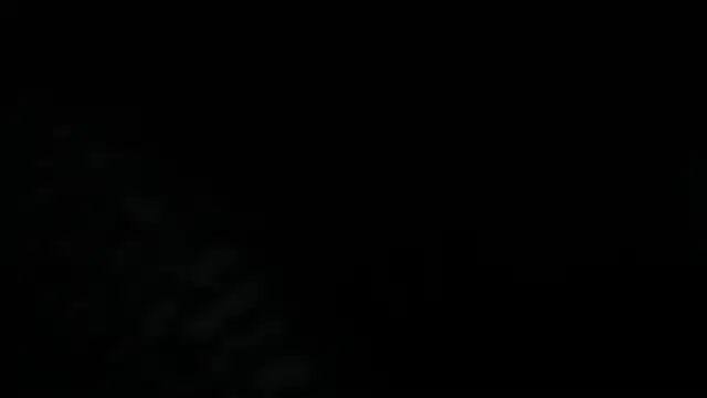 Dante Bellini online show from 06.03.26