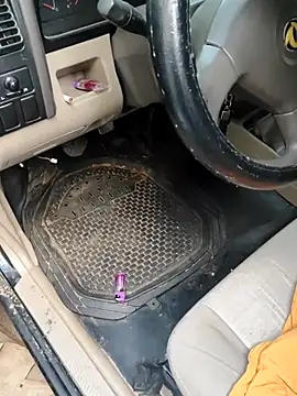 Snapshot of PIGHIGHDIRTY_p0 chatting on 02.20.26 PIGHIGHDIRTY p0 online show from 02.20.26