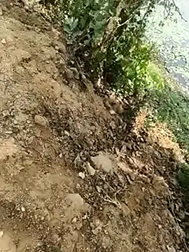 Sheela Sex90 online show from 04.17.26