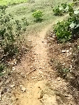 Sheela Sex90 online show from 04.19.26