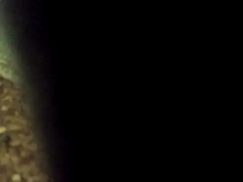 Maknithappen online show from 03.17.26