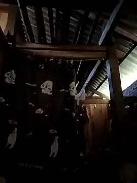 Snapshot of Money_moneylove chatting on 12.23.25 Money moneylove online show from 12.23.25