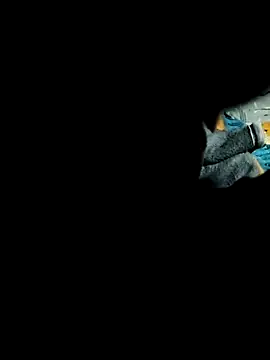 Hot2602 online show from 02.22.26