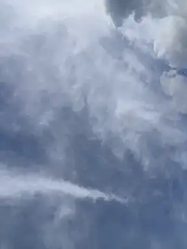 Ema Rose  online show from 04.18.26