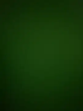 08yeis online show from 02.08.26