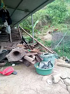 congchua977 online show from 04.17.26