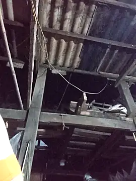 dakota-kis online show from 03.30.26