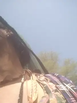 Snapshot of hornycouple20000 chatting on 02.05.26 hornycouple20000 online show from 02.05.26