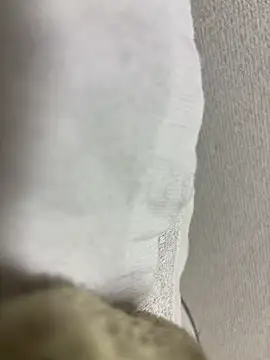 Snapshot of maonyan6 chatting on 02.13.26 maonyan6 online show from 02.13.26