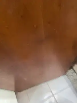 jeanramon01 online show from 03.20.26