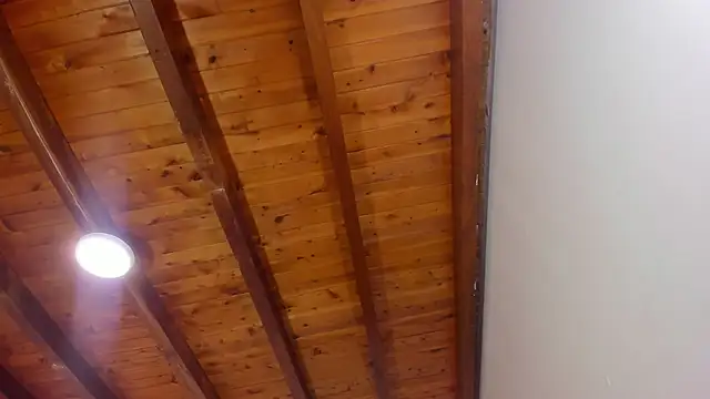 Im FelixHunter online show from 04.14.26