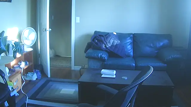 skateboardskate online show from 01.17.26