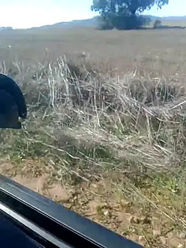 Snapshot of GanaderoMorboso chatting on 02.14.26 GanaderoMorboso online show from 02.14.26