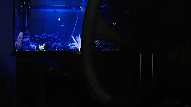 EspanolVato online show from 04.18.26