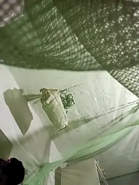 Jan 692 online show from 02.17.26