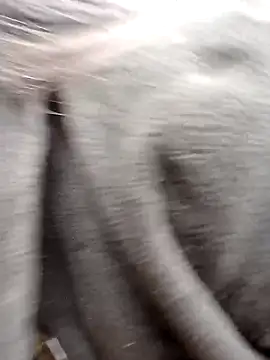 him220 online show from 02.23.26