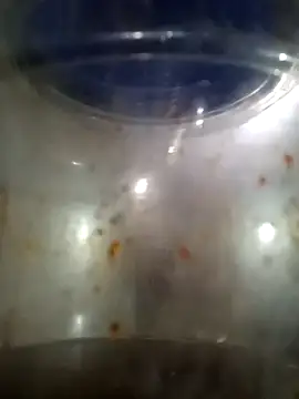 him220 online show from 03.12.26