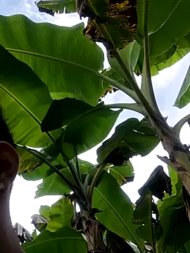 Wild and Sweets online show from 01.11.26