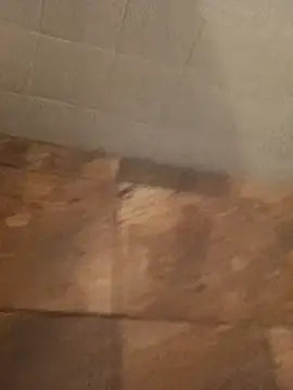 Paperdonny online show from 01.06.26