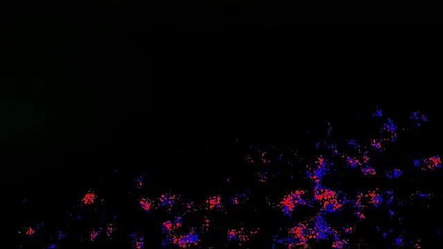 wolverinedream online show from 04.20.26