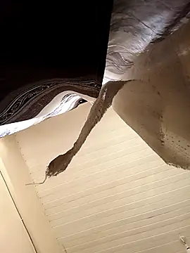 shanicollete online show from 01.15.26