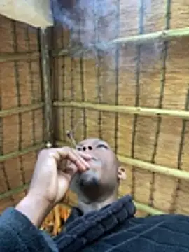 kwandero1234 online show from 01.14.26