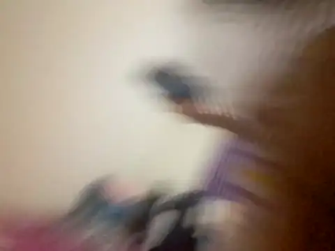 kitty pi online show from 03.29.26